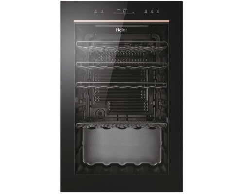 Холодильник Haier HWS49GAE