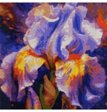 Картина по номерам Santi алмазна мозаїка Яскравий ірис, 40*40 см (954911)