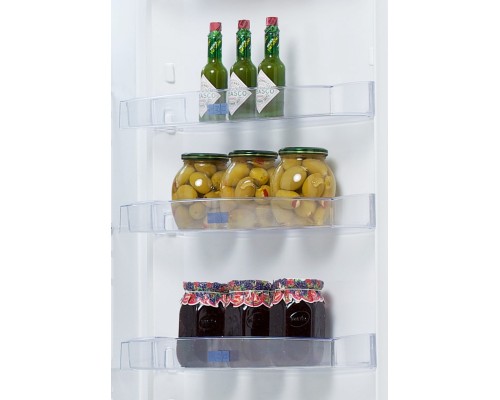 Холодильник Snaige C29SM-T1002E