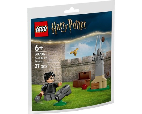 Конструктор LEGO Harry Potter Урок з Квідичу (30706)