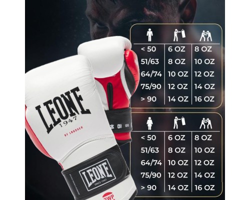 Боксерські рукавички Leone GN113 IL Tecnico N3 White 10 унцій (GN113_White_10oz)