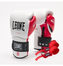 Боксерські рукавички Leone GN113 IL Tecnico N3 White 10 унцій (GN113_White_10oz)