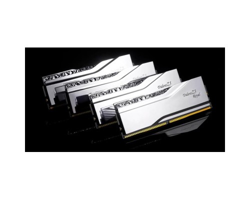 Модуль пам'яті для комп'ютера DDR5 64GB (2x32GB) 6400 MHz Trident Z5 Royal Silver G.Skill (F5-6400J3239G32GX2-TR5S)