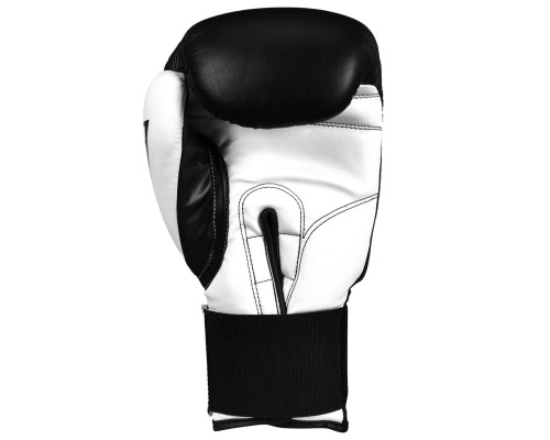 Боксерські рукавички Title Boxing Dynamic Strike Black/White 14 oz (XDBG 14 BK/WH)