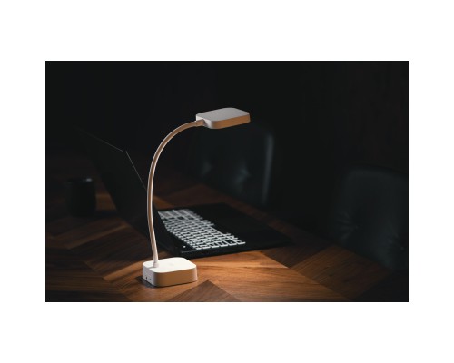Настільна лампа 2E 5Вт 5000K 1200мАг USB-A без БЖ білий (2E-DL1216)