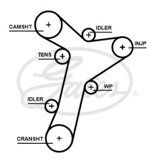 Ремінь ГРМ Gates 5695XS