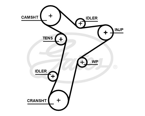 Ремінь ГРМ Gates 5695XS