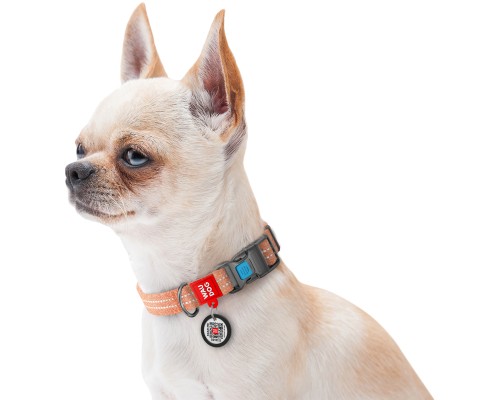 Нашийник для тварин WAUDOG Re-cotton з QR паспортом світловідбивний Ш 25 мм Д 37-58 см помаранчевий (02944)