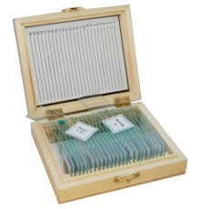 Набір мікропрепаратів Sigeta Різне 1 25 шт (65107)