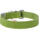 Нашийник для тварин WAUDOG Classic шкіряний 12 мм х 19-25 см салатовий (02015)