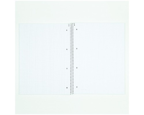 Зошит Brunnen Коледж-блок А4 Premium у клітинку 80 аркушів Zenart sea (10-67 428 01)