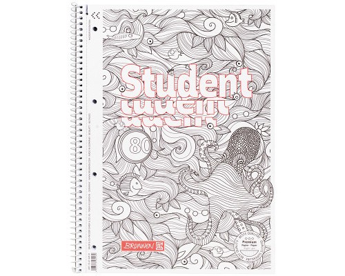 Зошит Brunnen Коледж-блок А4 Premium у клітинку 80 аркушів Zenart sea (10-67 428 01)