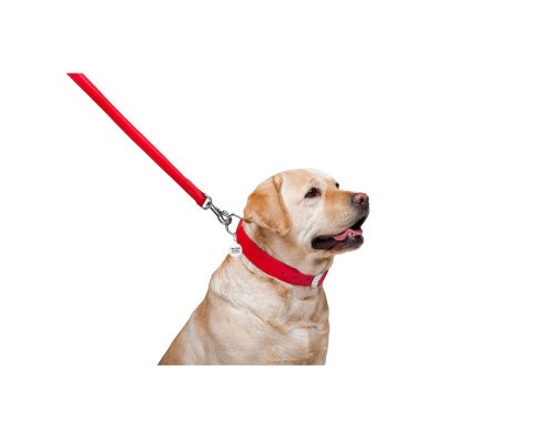 Повідок для собак WAUDOG Glamour шкіряний M-XXL червоний (33763)
