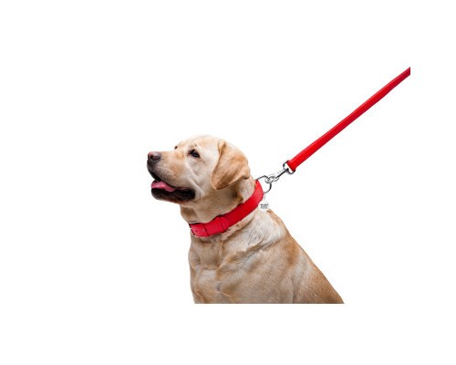 Повідок для собак WAUDOG Glamour шкіряний M-XXL червоний (33763)