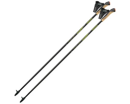 Палиці для скандинавської ходи Gabel FX-75 Snake Carbon 115 Dual Spike (7009351011150) (DAS302694)
