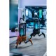 Акустична система GravaStar Supernova Bluetooth Black (GRAVASTARG5_BLK) 