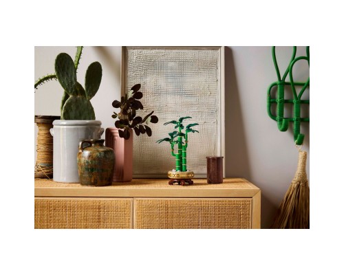 Конструктор LEGO Botanicals Бамбук щастя (10344)