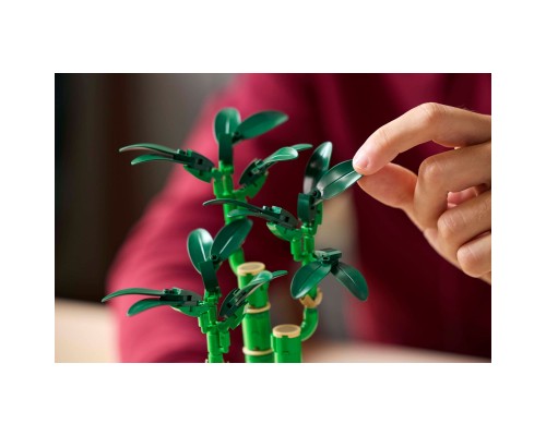 Конструктор LEGO Botanicals Бамбук щастя (10344)