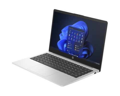 Ноутбук HP 245 G10 (AD1X9ET)
