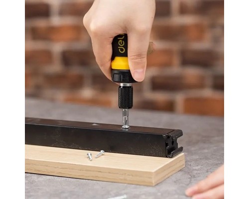 Викрутка Deli двостороння з тріскачкою, 2 біти 6/PH2 x 85 мм (DL626010)