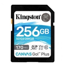 Карта пам'яті Kingston 256GB SDXC class 10 UHS-I U3 Canvas Go Plus (SDG3/256GB)