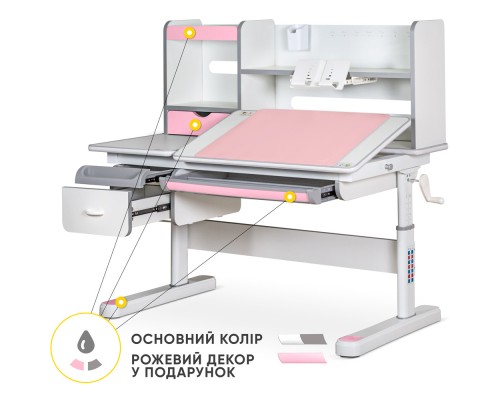 Парта Mealux Florida Multicolor Pink (Evo-52 WG + PN Multicolor)