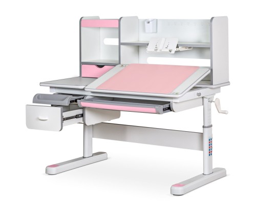 Парта Mealux Florida Multicolor Pink (Evo-52 WG + PN Multicolor)