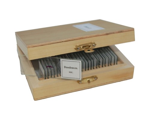 Набір мікропрепаратів Sigeta Різне 2 25 шт (65108)