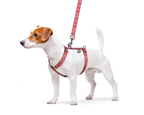 Шлея для собак WAUDOG Nylon анатомічна H-подібна 