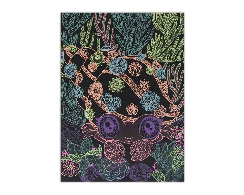 Набір для творчості Nebulous Stars Розмальовка: Коралія, чорні аркуши (11111)