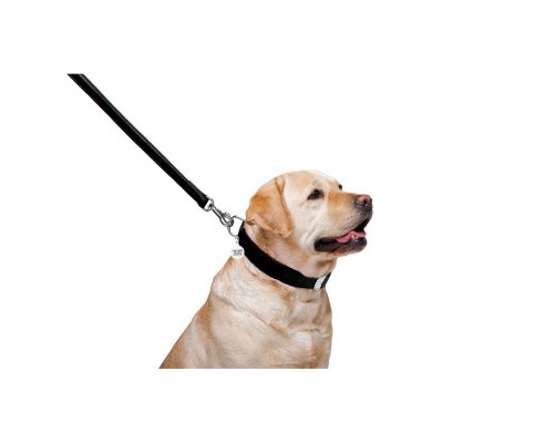Повідок для собак WAUDOG Glamour шкіряний M-XXL чорний (33761)