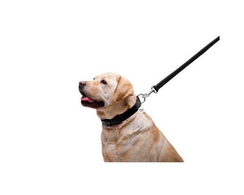 Повідок для собак WAUDOG Glamour шкіряний M-XXL чорний (33761)