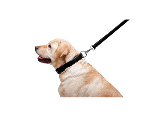 Повідок для собак WAUDOG Glamour шкіряний M-XXL чорний (33761)