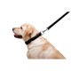 Повідок для собак WAUDOG Glamour шкіряний M-XXL чорний (33761)