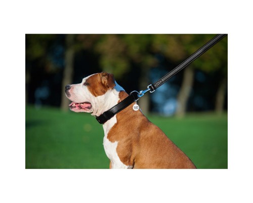 Повідок для собак WAUDOG Glamour шкіряний M-XXL чорний (33761)