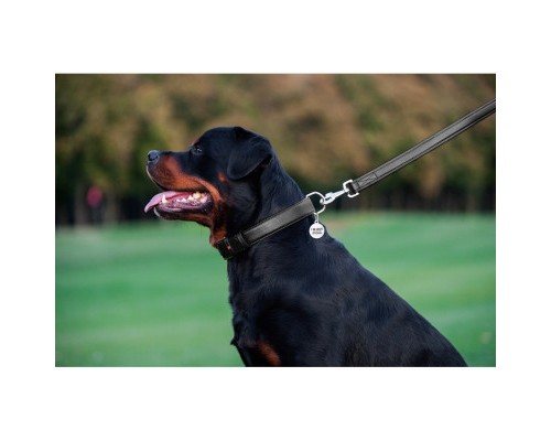 Повідок для собак WAUDOG Glamour шкіряний M-XXL чорний (33761)
