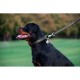 Повідок для собак WAUDOG Glamour шкіряний M-XXL чорний (33761)