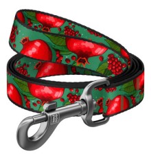 Повідок для собак WAUDOG Nylon 