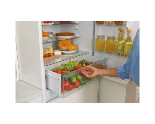 Холодильник Candy CBT 7719 EW (CBT7719EW)