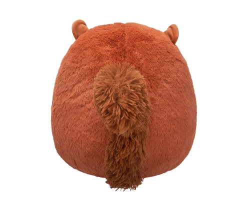 М'яка іграшка Squishmallows Білка Сойєр 30 см (SQCR06757) М'яка іграшка Squishmallows Білка Сойєр 30 см (SQCR06757)