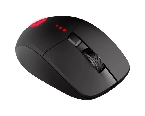 Мишка Canyon Crusader GMW-13 RGB Wireless Black (CND-SGMW13)