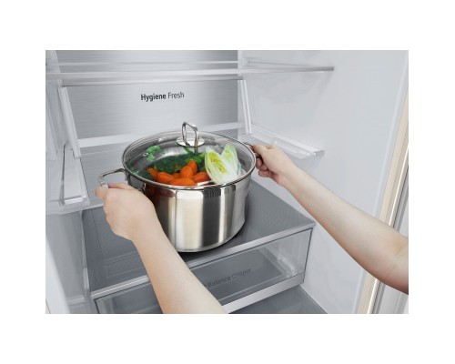 Холодильник LG GC-B509FEPW