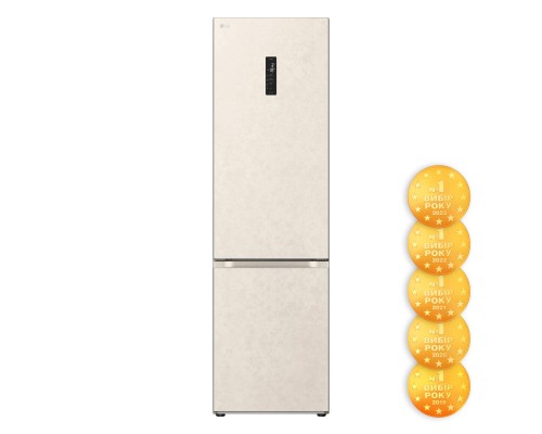 Холодильник LG GC-B509FEPW