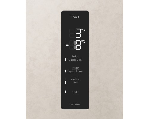 Холодильник LG GC-B509FEPW