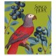 Зошит Школярик Birds 60 аркушів клітинка (060-3410K)