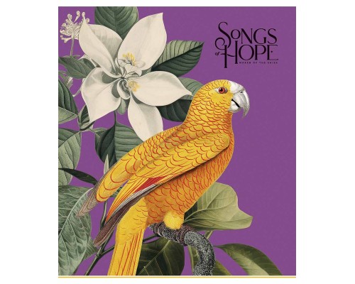 Зошит Школярик Birds 60 аркушів клітинка (060-3410K)