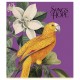 Зошит Школярик Birds 60 аркушів клітинка (060-3410K)