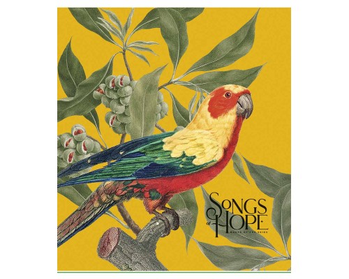 Зошит Школярик Birds 60 аркушів клітинка (060-3410K)