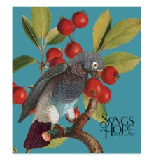 Зошит Школярик Birds 60 аркушів клітинка (060-3410K)