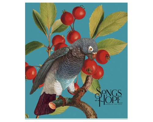 Зошит Школярик Birds 60 аркушів клітинка (060-3410K)